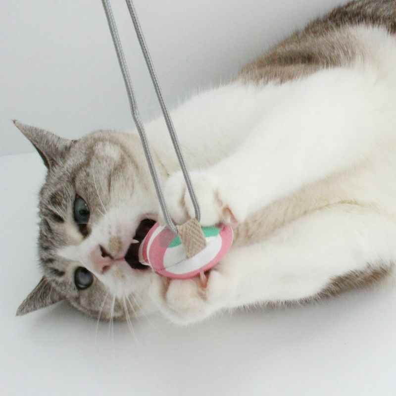 またたび不使用の猫用おもちゃ。おもちゃ2点セットねずみ・さかな