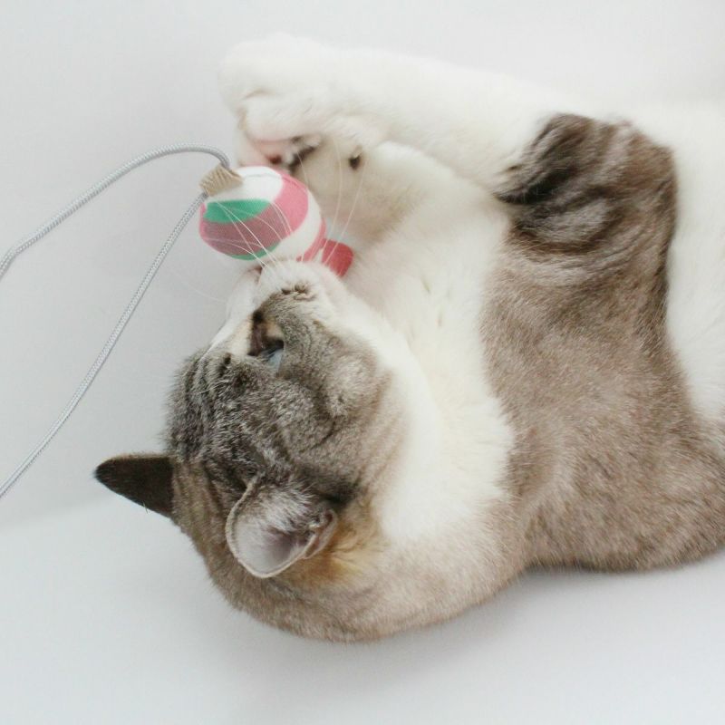 またたび不使用の猫用おもちゃ。おもちゃ2点セットねずみ・さかな