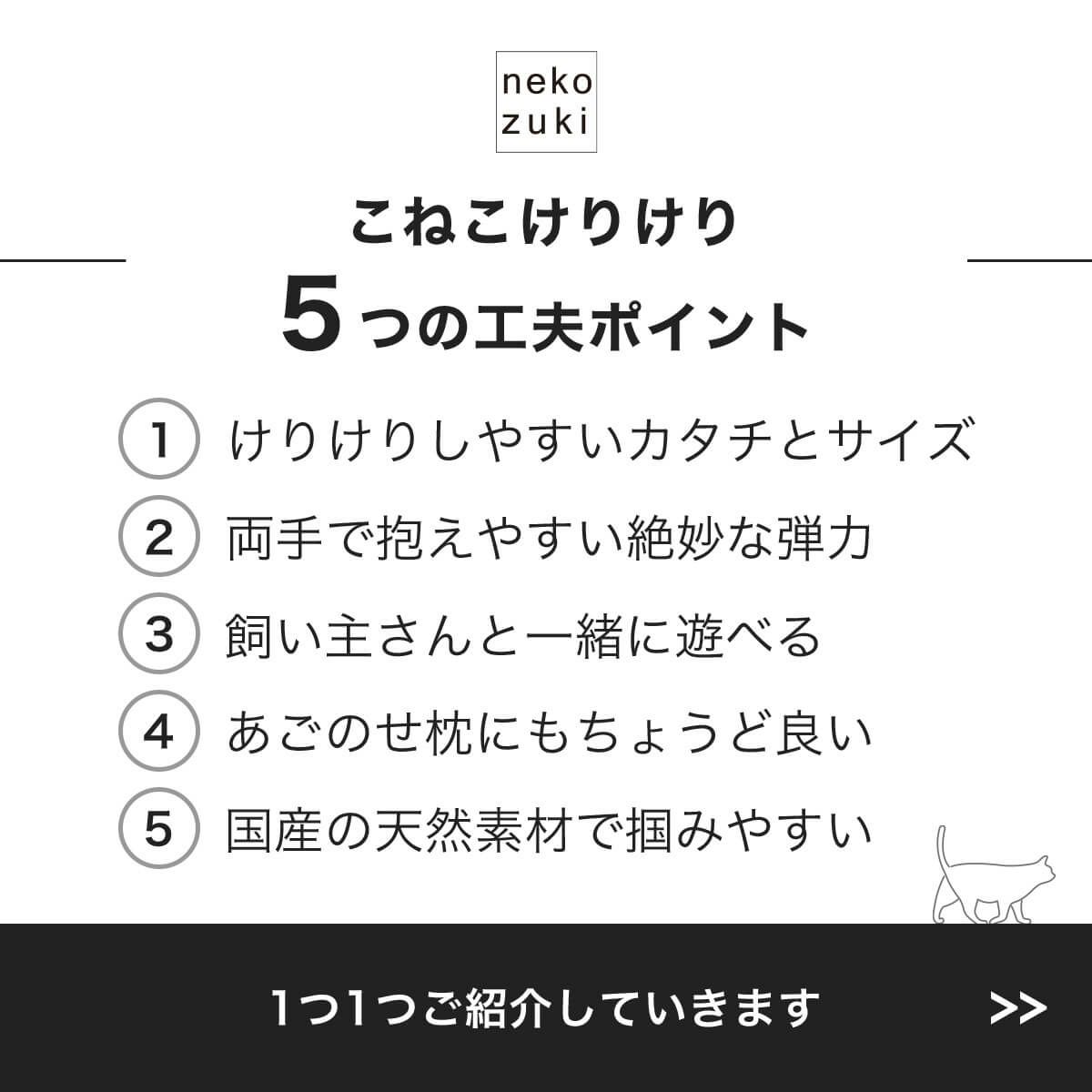 こねこけりけり5つの工夫ポイント