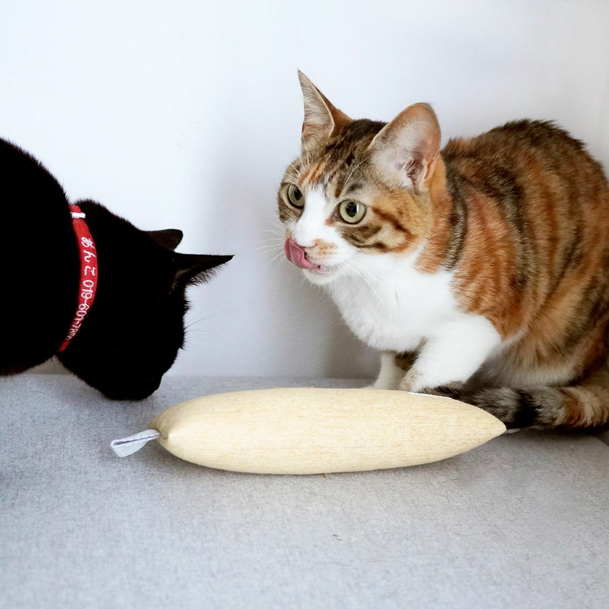 またたび不使用。猫用おもちゃこねこけりけり