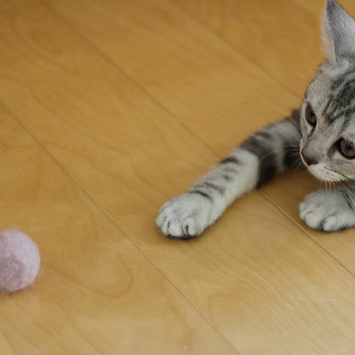 猫さんへのギフトに。猫用おもちゃこねこころころ