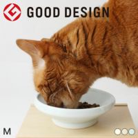 日本製の猫用磁器製食器。食べやすいまんまボウルフード用