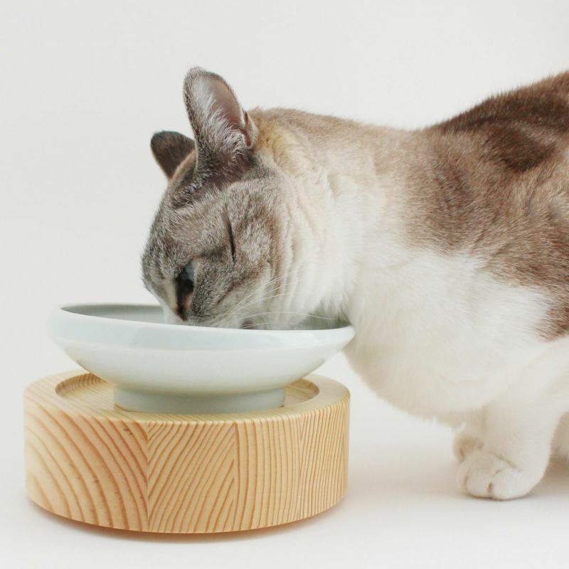 猫が食べやすい斜めの傾斜、磁器製のフードボウル。重さがあるからひっくり返らない。
