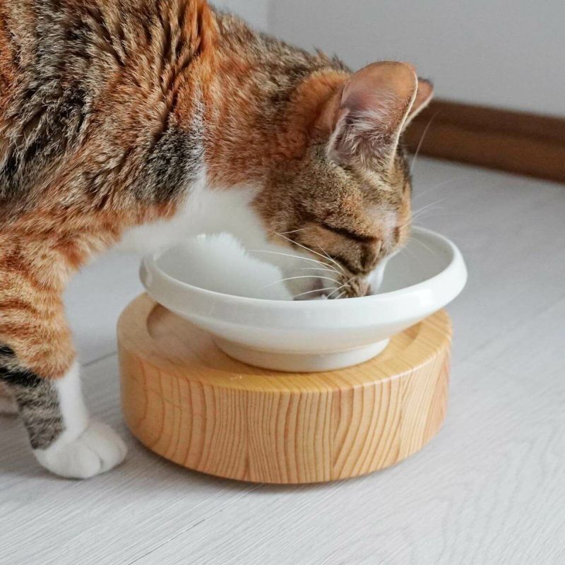 猫が食べやすい食器で食べ残し＆食べこぼし防止。ご飯用ボウルM