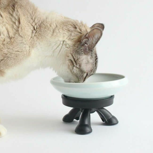 猫が食べやすい斜めの傾斜、磁器製のフードボウル。重さがあるからひっくり返らない。