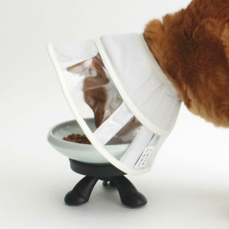 磁器製の猫用食器、斜めの傾斜がエリザベスカラーでも食べやすい。