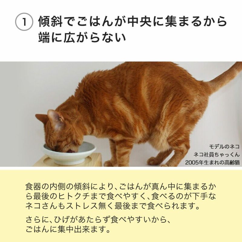 ごはんが中央に集まる猫用磁器製食器まんまボウル