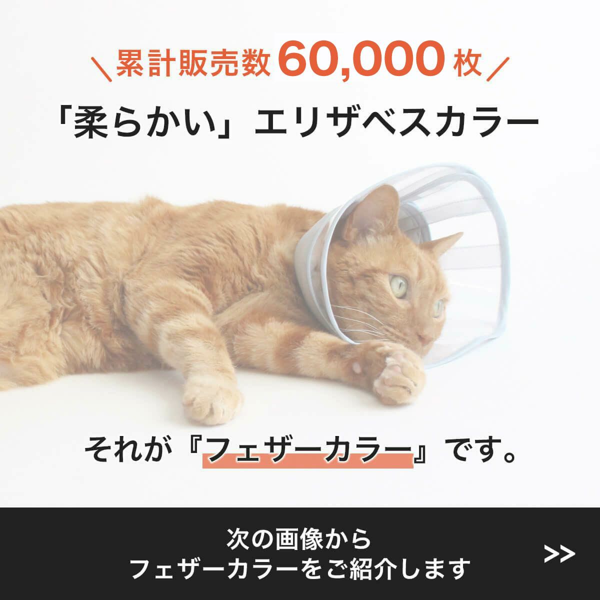 テレビで紹介】獣医おすすめ ストレスフリーな猫エリザベスカラー