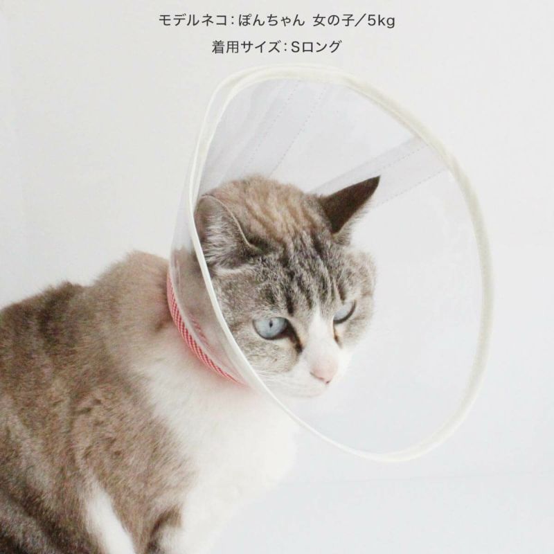 獣医おすすめ ストレスフリーな猫エリザベスカラー・透明ソフト