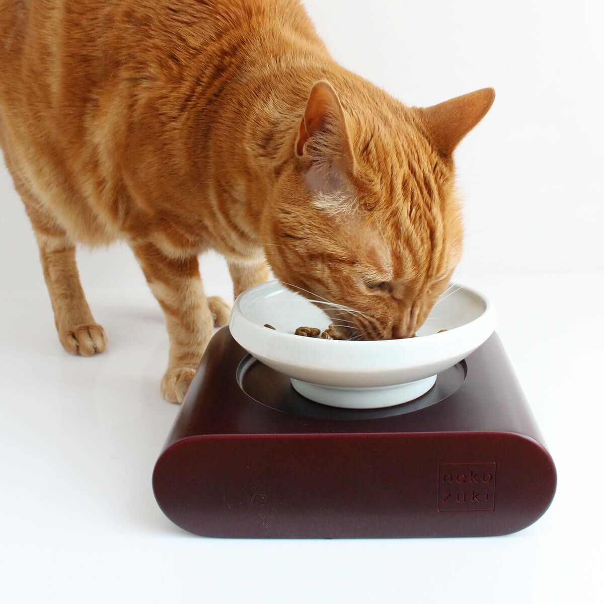 人気の贈り物が大集合 食器台 猫 まんま台 ラウンドround ダブル 日本製 Gefert Com Br