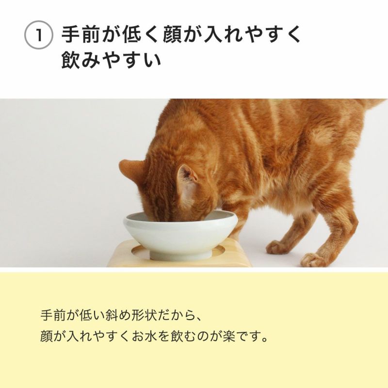 手前が低く飲みやすい猫用国産磁器斜め食器　nekozukiオリジナル水飲みボウル