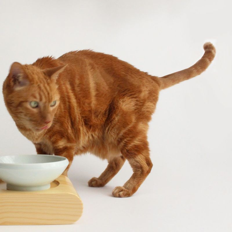 nekozukiオリジナル猫の水飲み用食器こぼさずひっくり返らない斜めスタイルのウォーターボウル