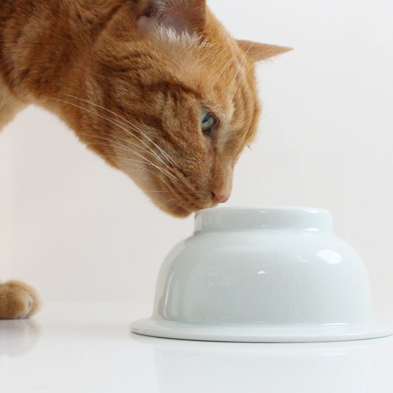 まんま台holeシングル・ダブルの洗い替え用の猫食器　まんまボウルhole用