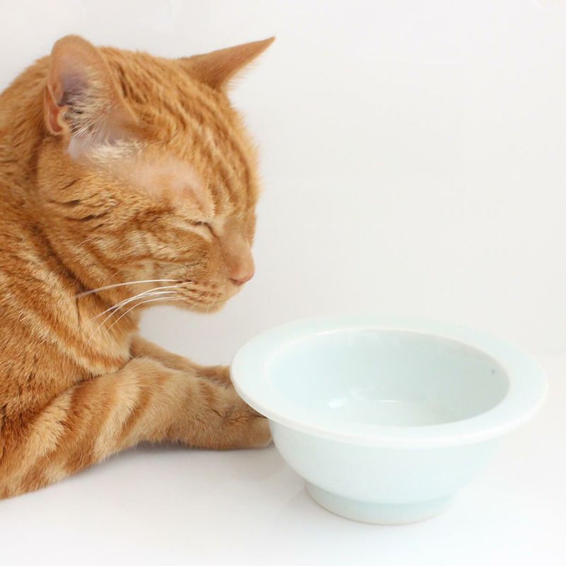 まんま台holeシングル・ダブルの洗い替え用の猫食器　まんまボウルhole用