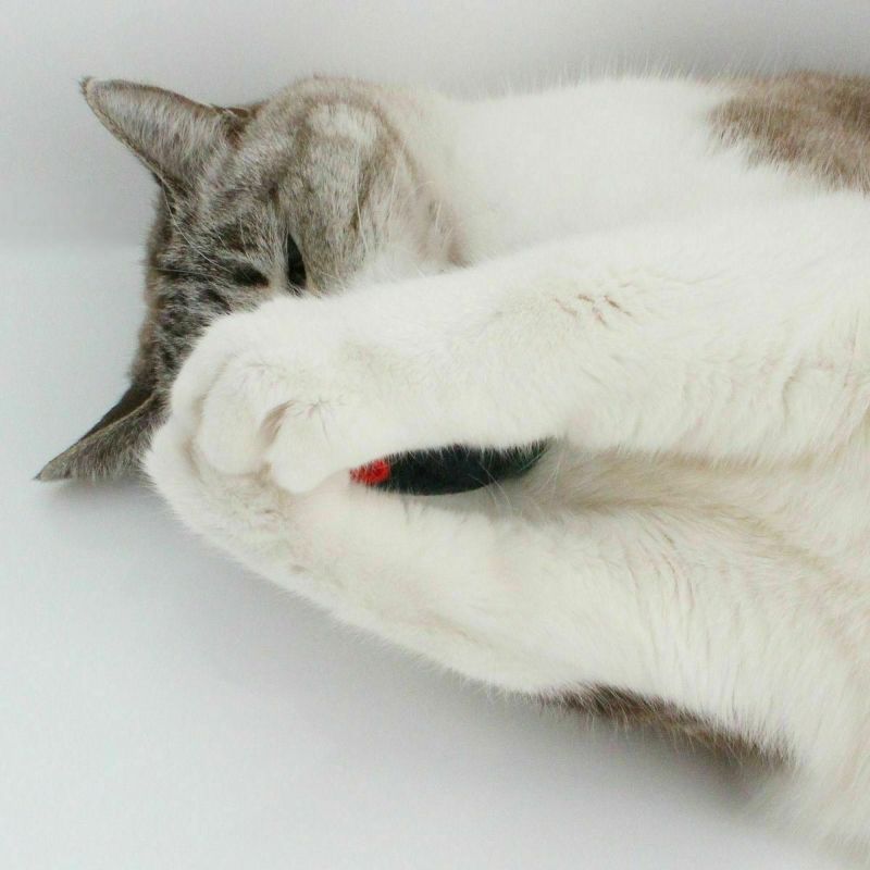 音がなるネズミの猫用おもちゃ。ねこずきねずみ