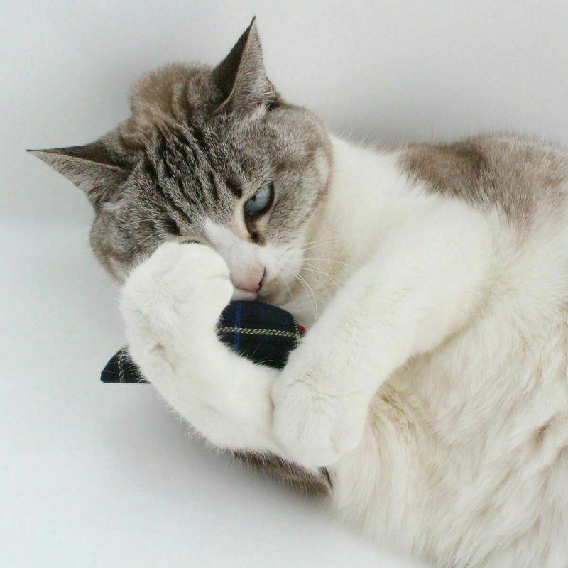 音がなるネズミの猫用おもちゃ。ねこずきねずみ