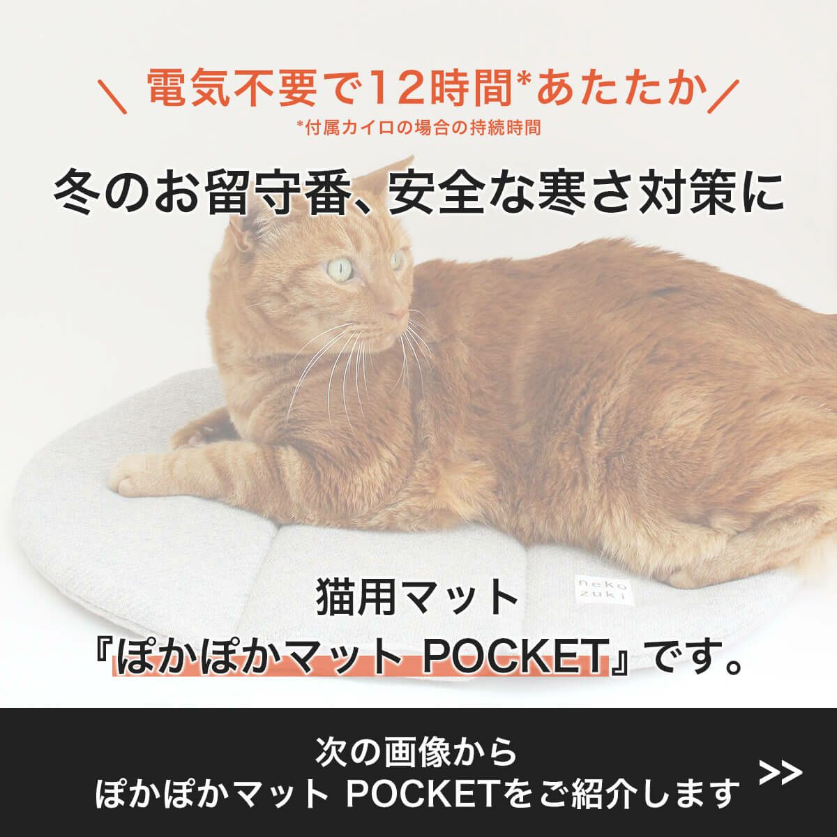 電気を使わない、あったか防寒グッズ。猫用マットぽかぽかマットPOCKET