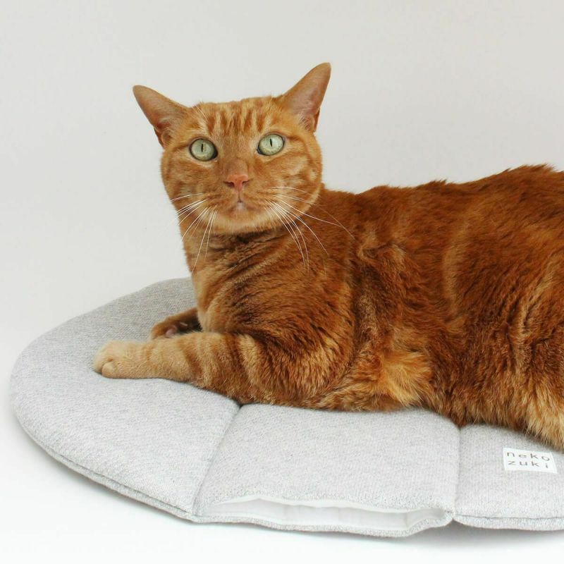 電気を使わない、あったか防寒グッズ。猫用マットぽかぽかマットPOCKET