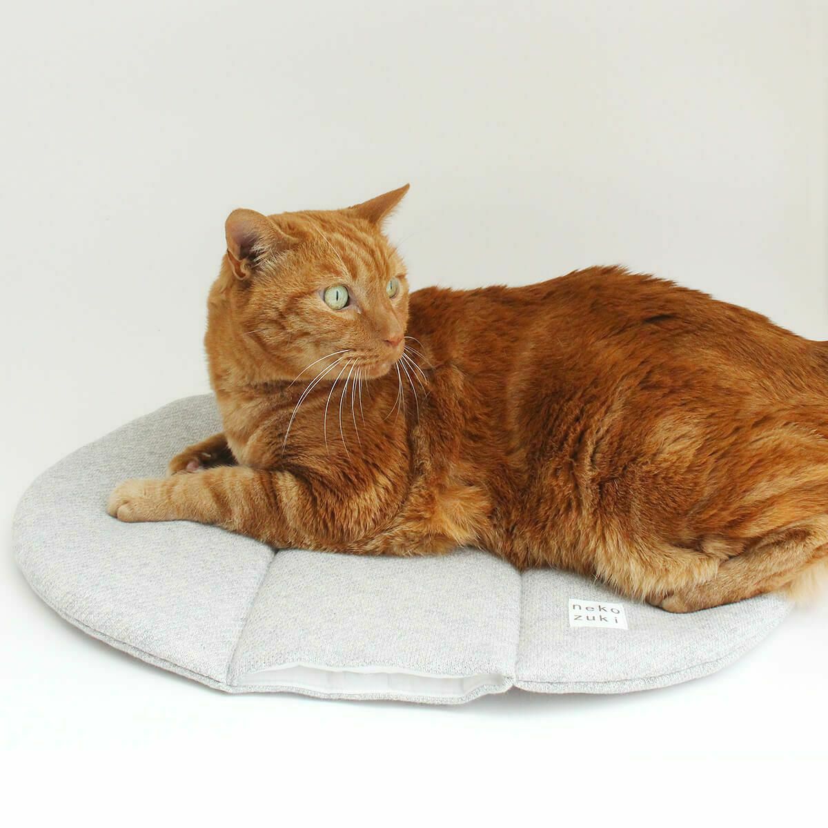 電気を使わない、あったか防寒グッズ。猫用マットぽかぽかマットPOCKET