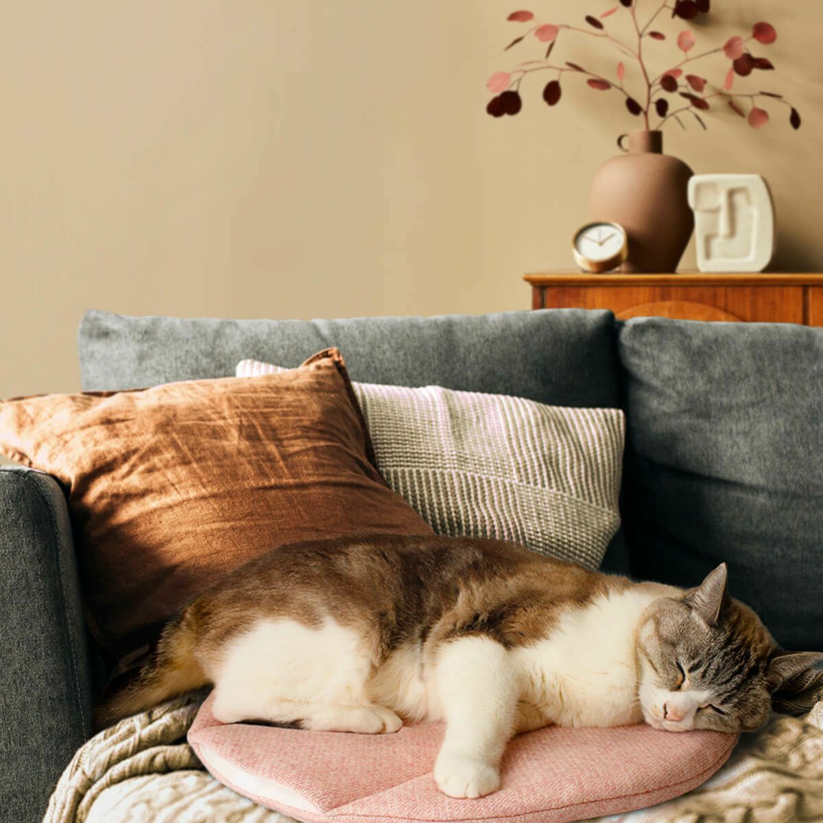 電気を使わない、あったか防寒グッズ。猫用マットぽかぽかマットPOCKET