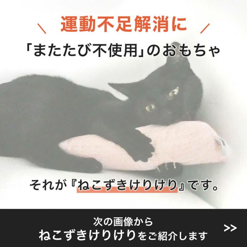 またたび不使用。猫用おもちゃねこずきけりけり