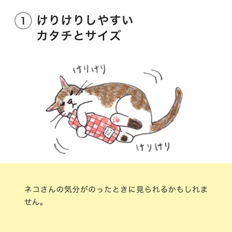 ねこずきけりけりはけりけりしやすいカタチとサイズ