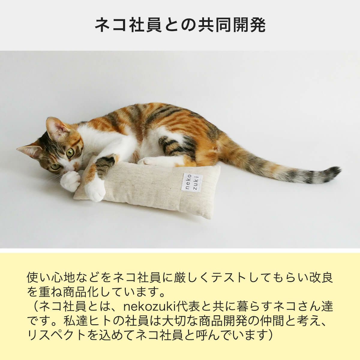 ねこずきけりけりはネコ社員との共同開発
