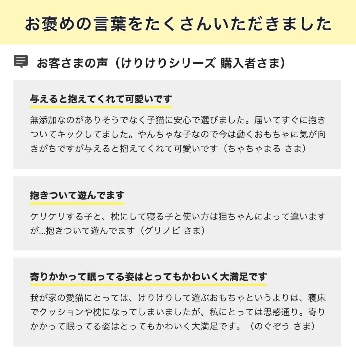 ねこずきけりけりお客様の声