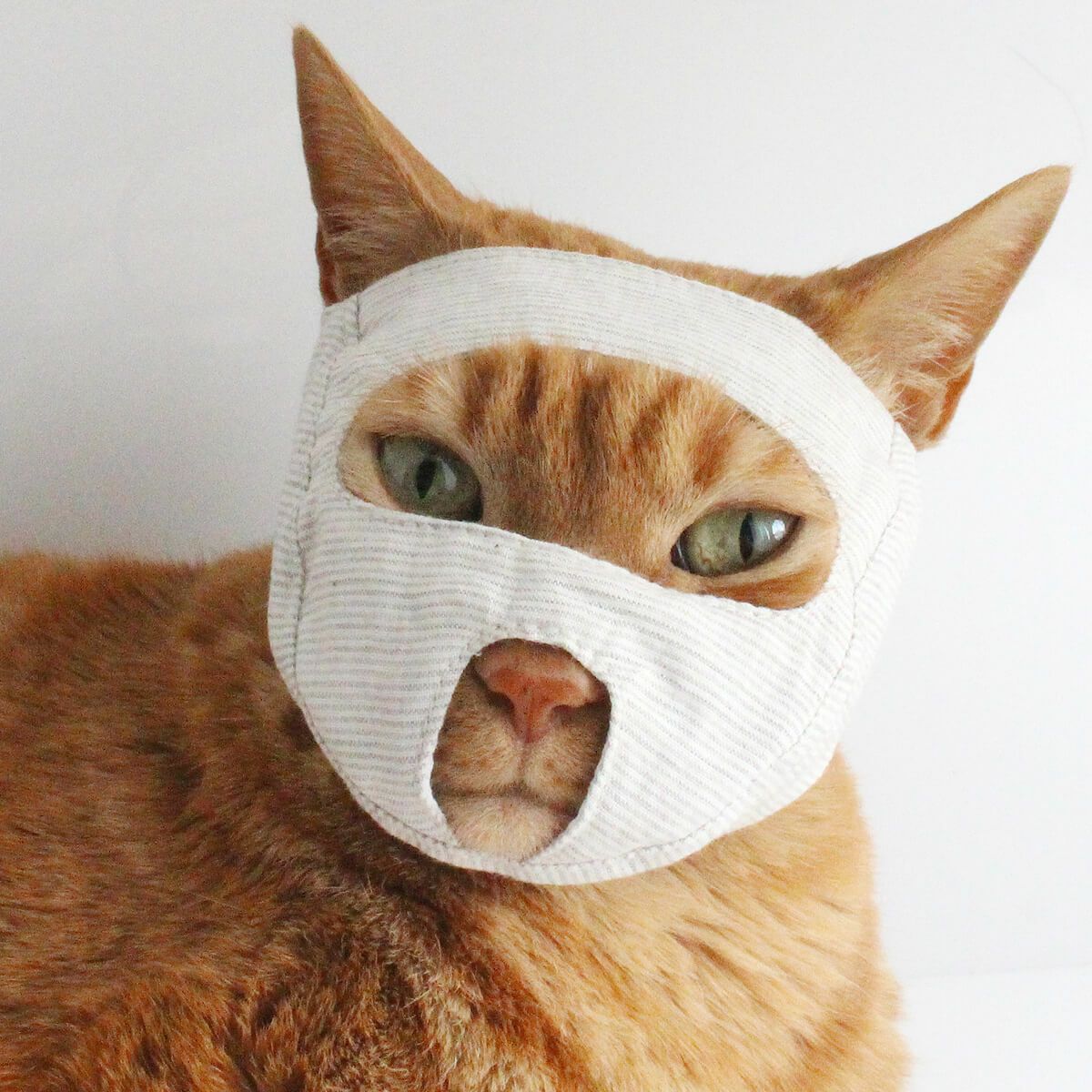 【90%OFF】 No.31 猫の首輪(ストライプ・ベージュ)サイズ調整可能