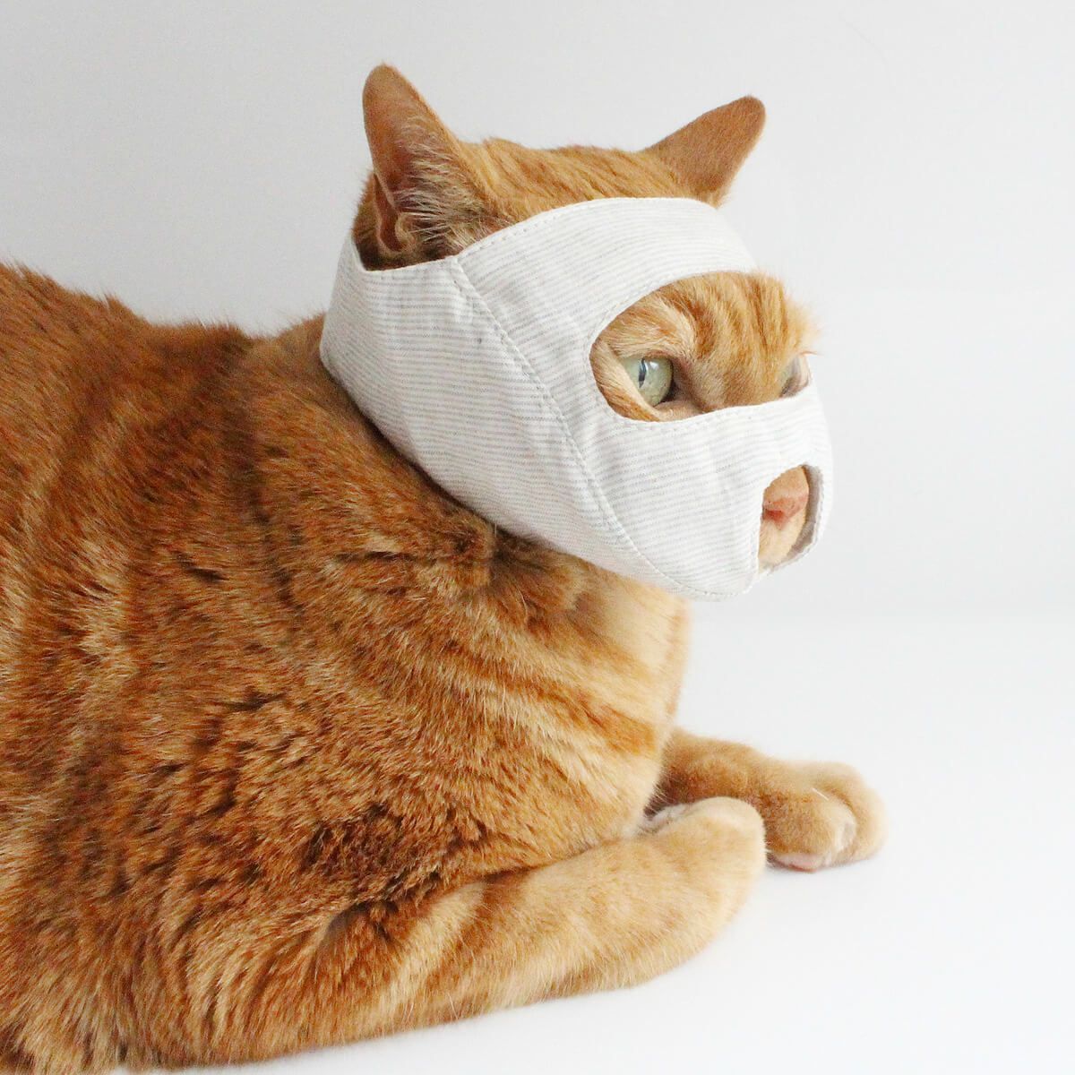 点眼時、噛まれることを予防するためのグッズ。めだしマスク