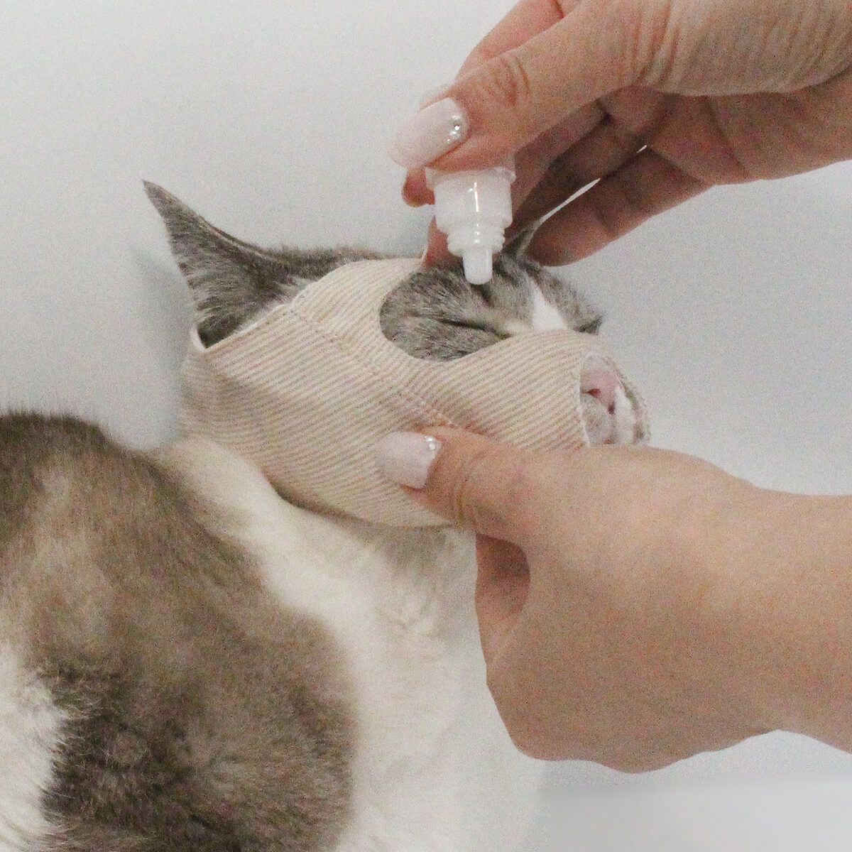 点眼時、噛まれることを予防するためのグッズ。めだしマスク