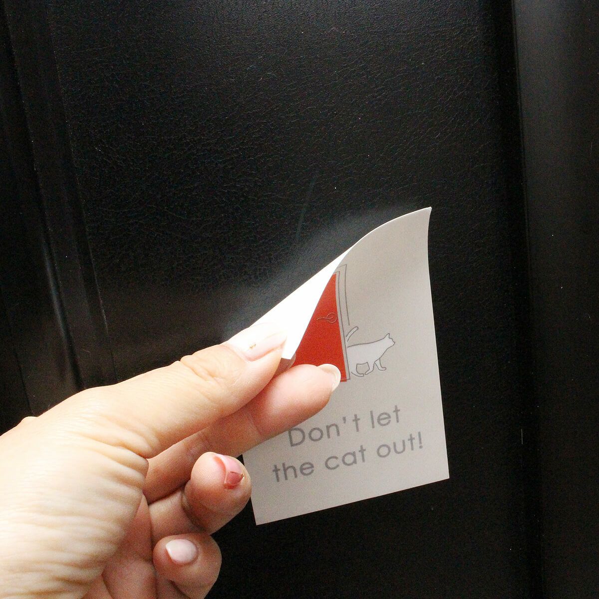 玄関に繰り返し貼ってはがせる特殊素材で便利。飛び出し防止ステッカードアネコいます