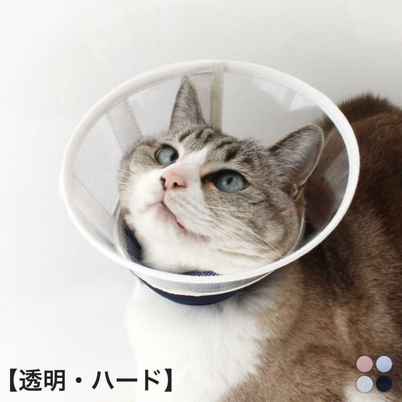 軽くて柔らかい猫のエリザベスカラー（透明ハード）