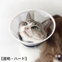 軽くて柔らかい猫のエリザベスカラー（透明ハード）