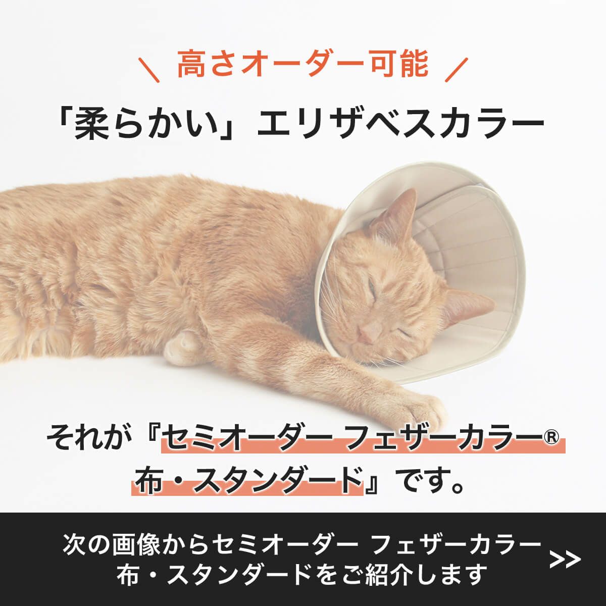 セミオーダーエリザベスカラー。フェザーカラー【布・スタンダード】