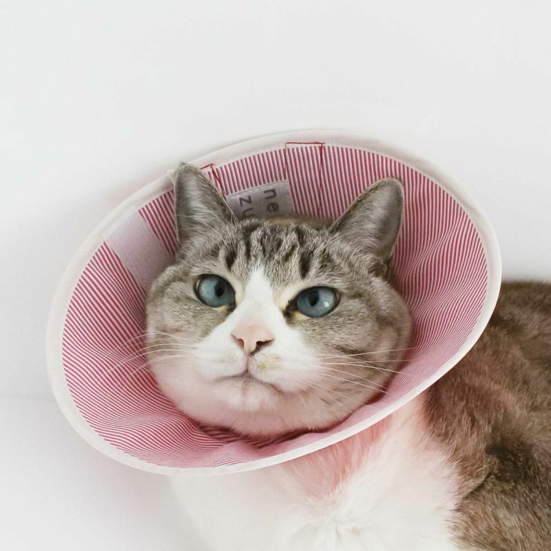 セミオーダーエリザベスカラー。フェザーカラー【布・スタンダード】