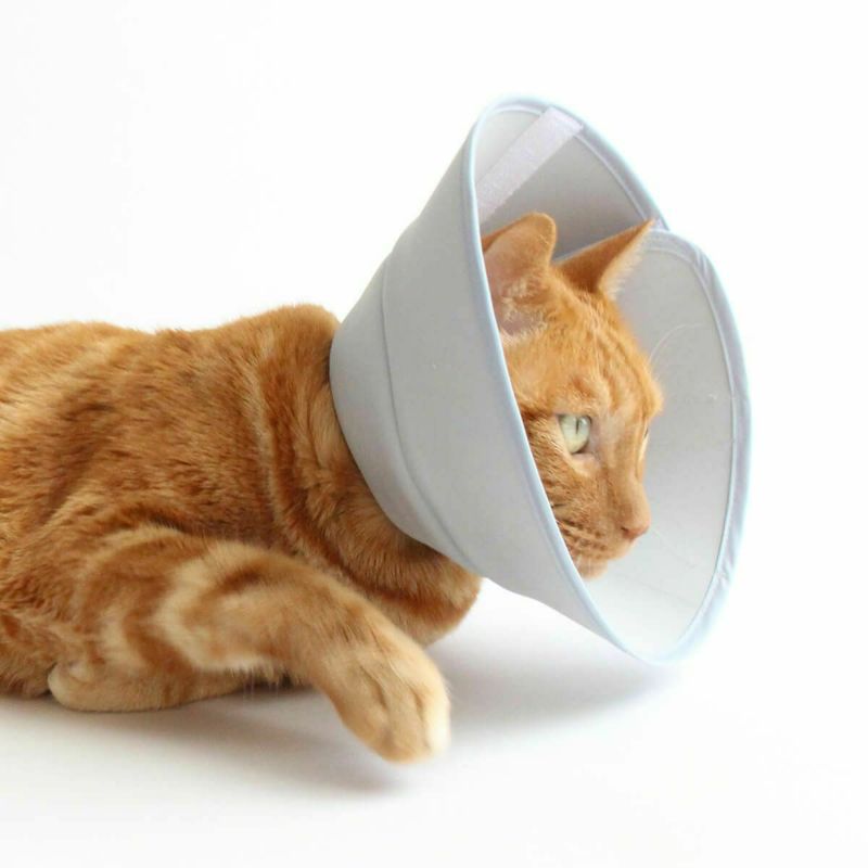 セミオーダーエリザベスカラー。フェザーカラー【布・スタンダード】