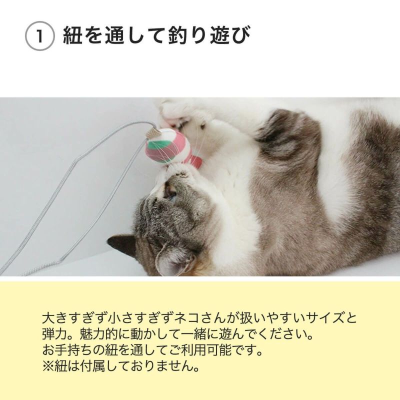 ねこずきさかなは紐を通して釣り遊び