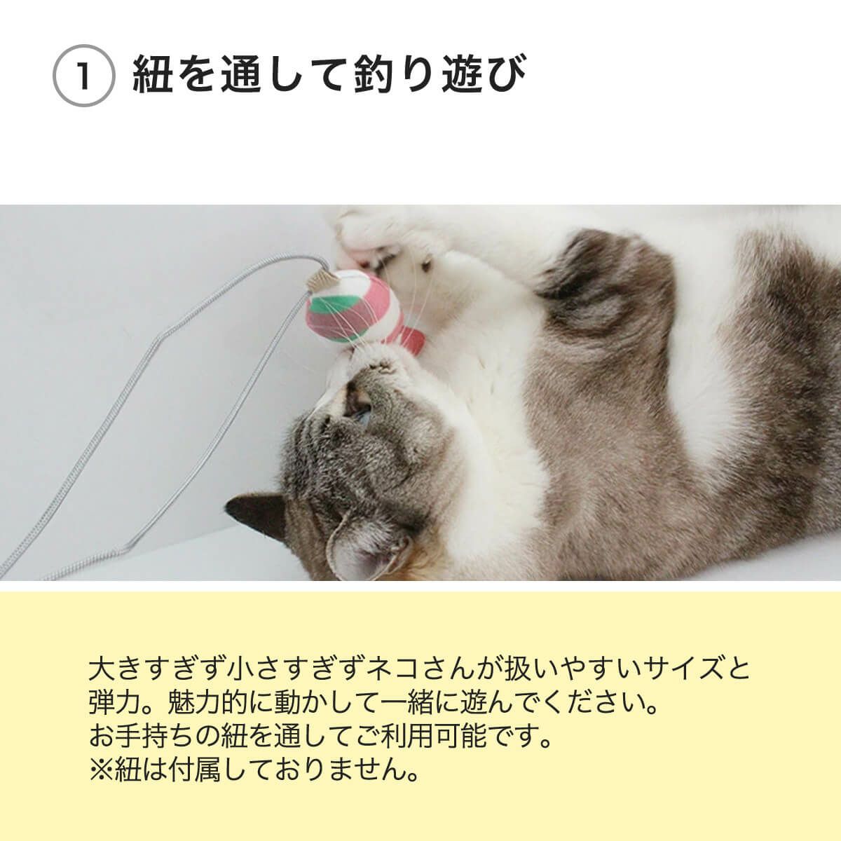 ねこずきさかなは紐を通して釣り遊び