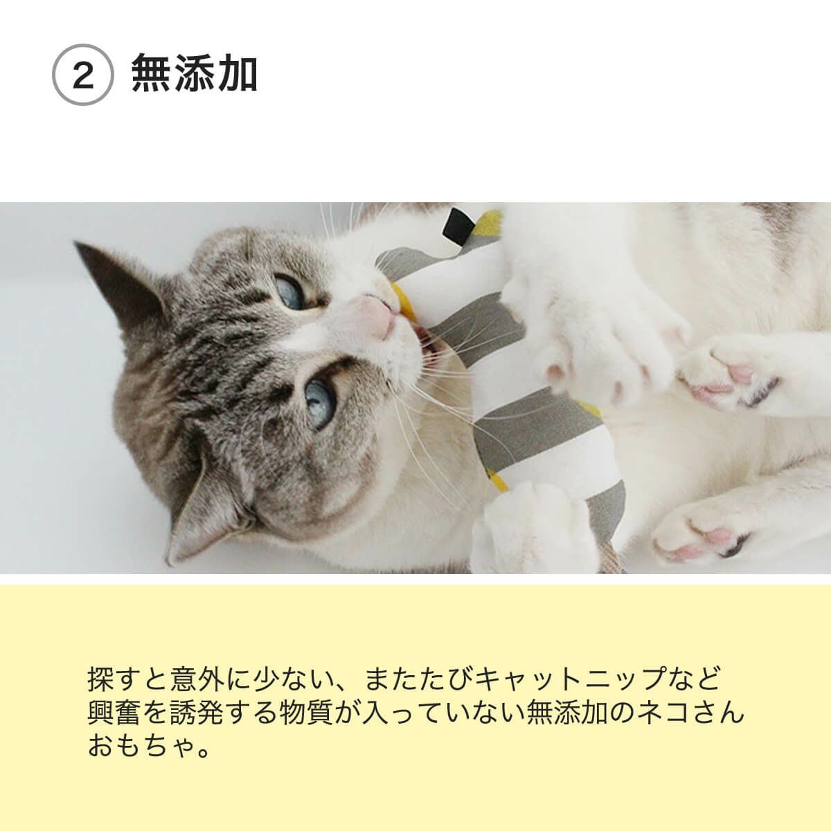 ねこずきさかなは無添加