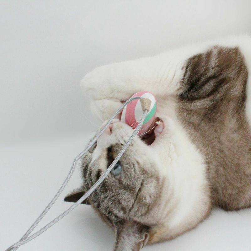 またたび不使用の猫用おもちゃ。ねこずきさかな