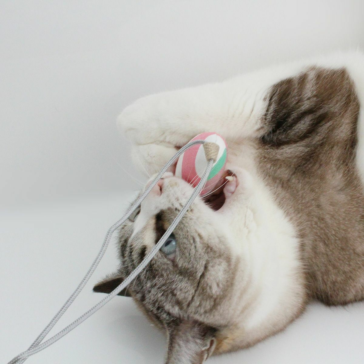 またたび不使用の猫用おもちゃ。ねこずきさかな