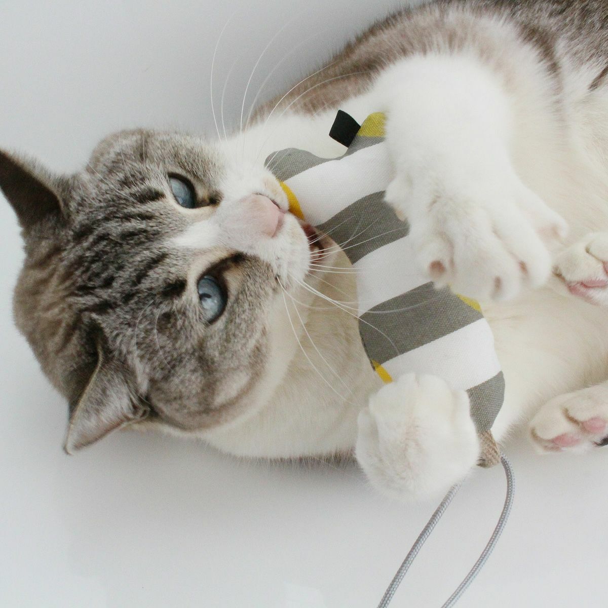 またたび不使用の猫用おもちゃ。ねこずきさかな