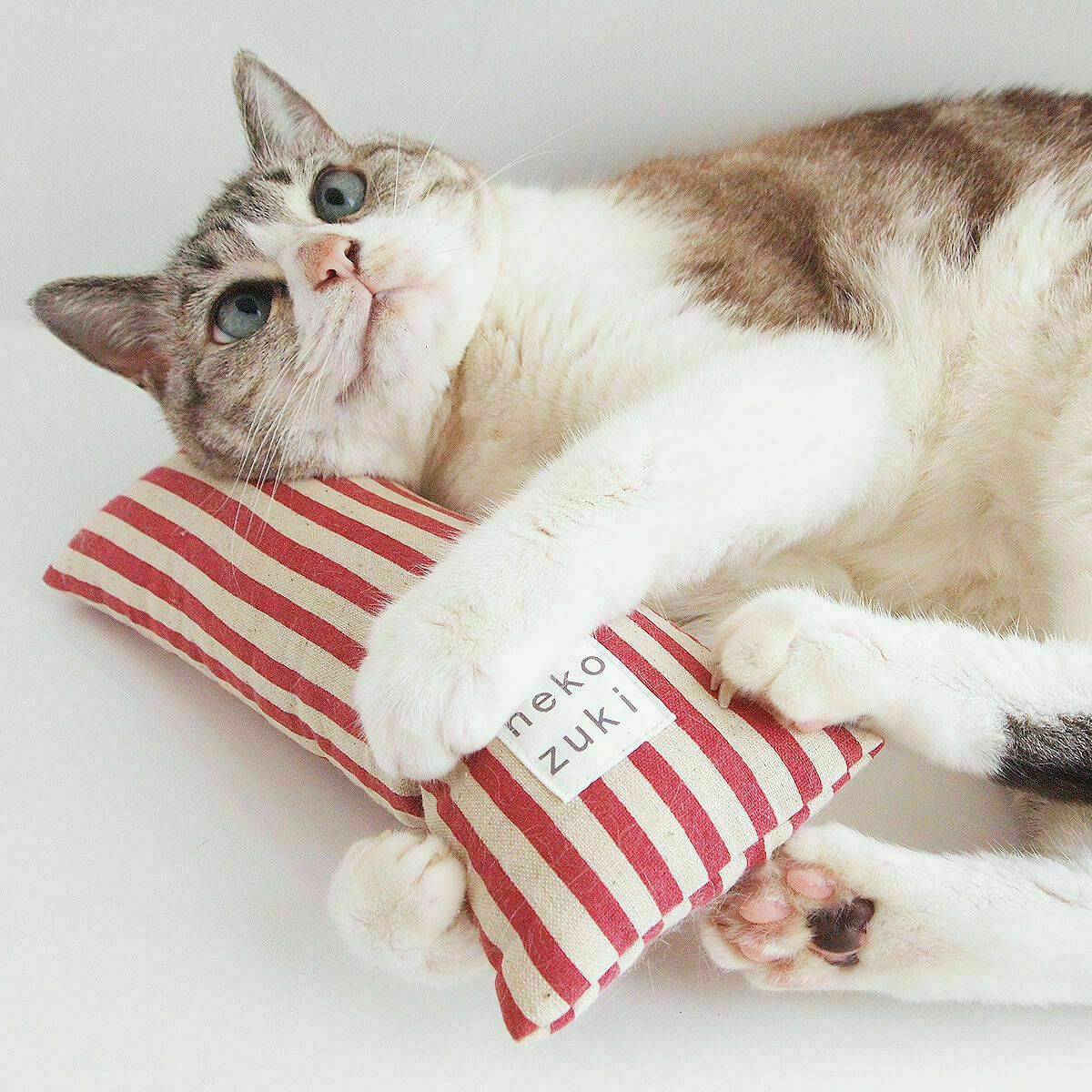 ネコが喜ぶおもちゃセット。ねこずきけりけり付おもちゃ4点セット