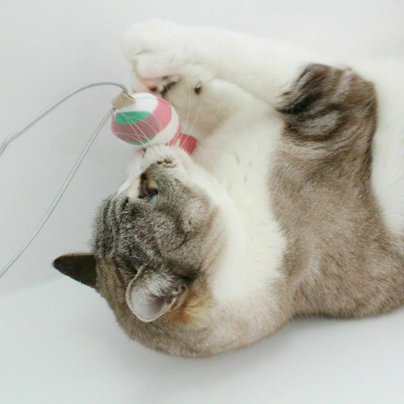 ネコが喜ぶおもちゃセット。ねこずきけりけり付おもちゃ4点セット