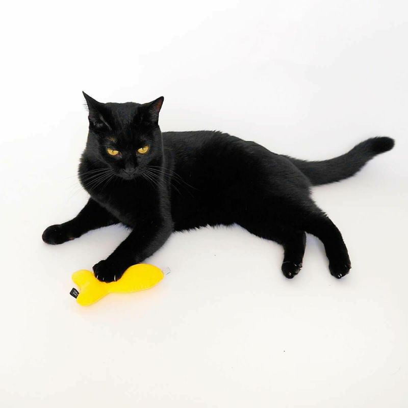 ネコが喜ぶおもちゃセット。ねこずきけりけり付おもちゃ4点セット