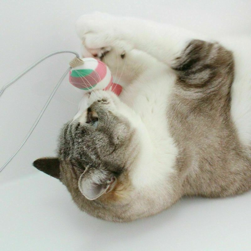 ネコが喜ぶおもちゃセット。ねこずきけりけり付おもちゃ4点セット