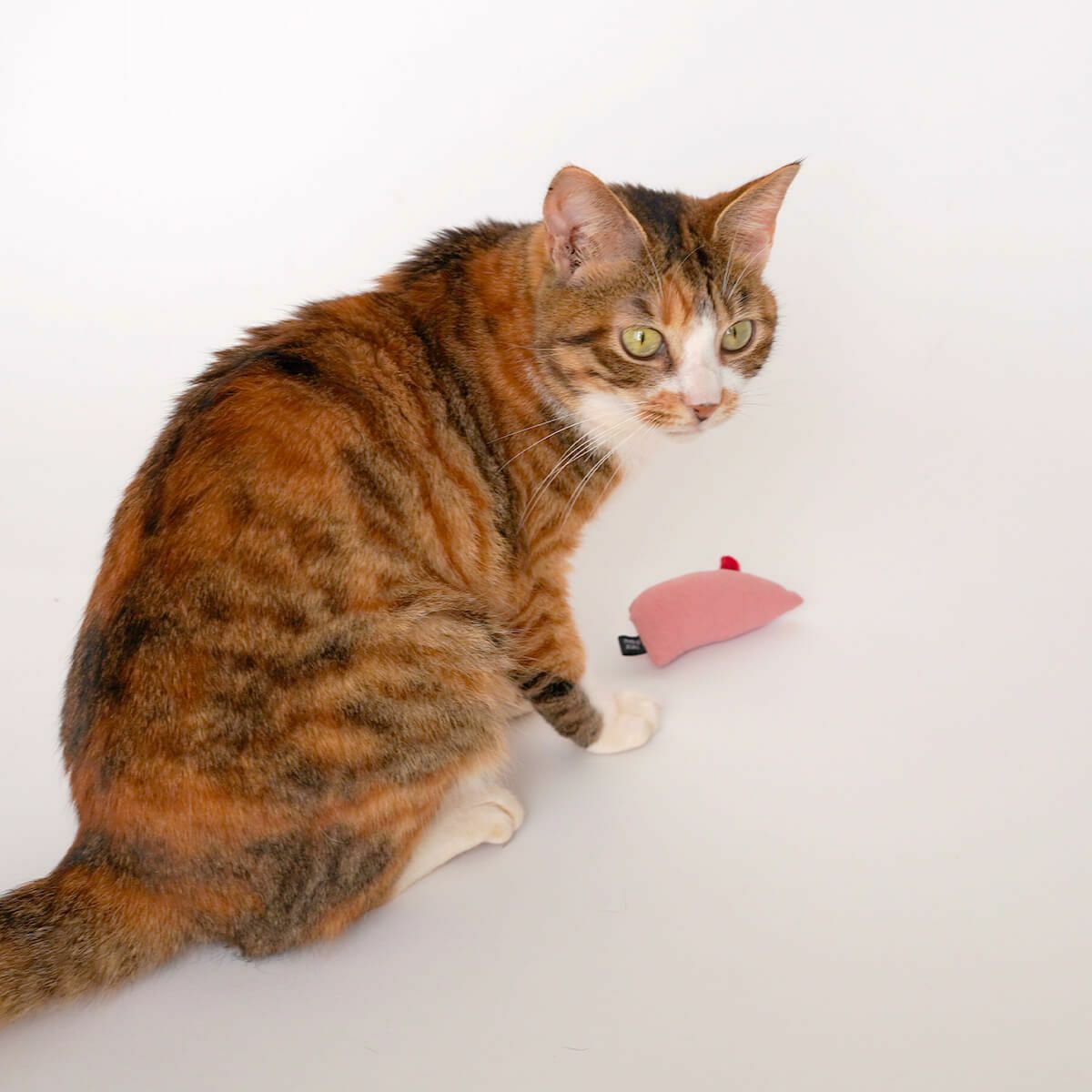 ネコが喜ぶおもちゃセット。ねこずきけりけり付おもちゃ4点セット