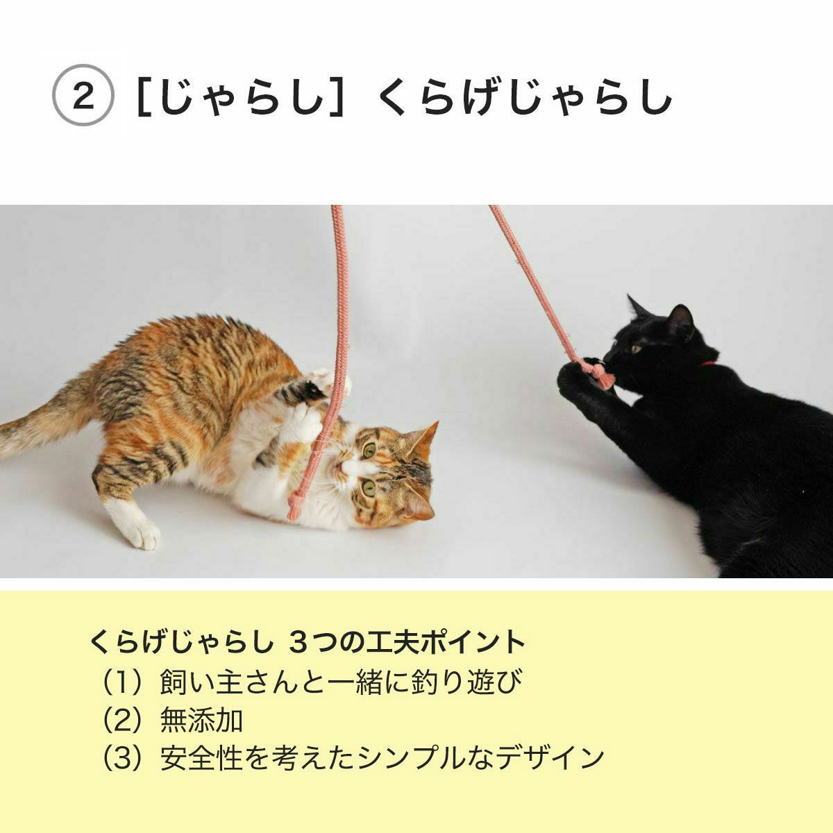 釣り・ねこずきさかな