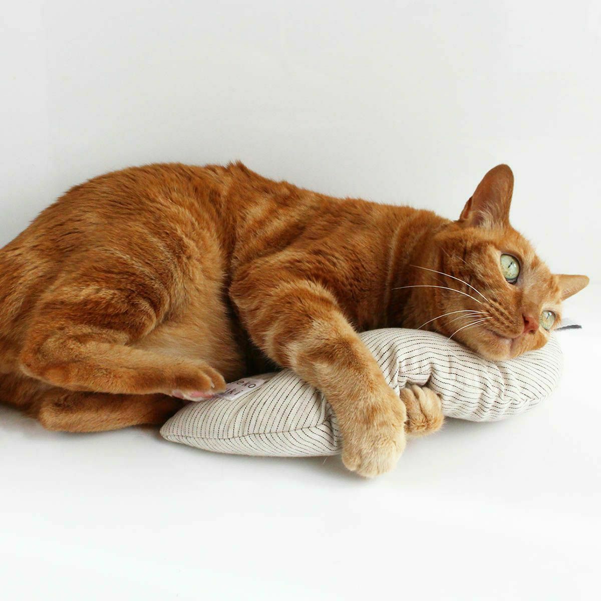 ネコが喜ぶおもちゃセット。ねこずきけりけり付おもちゃ5点セット